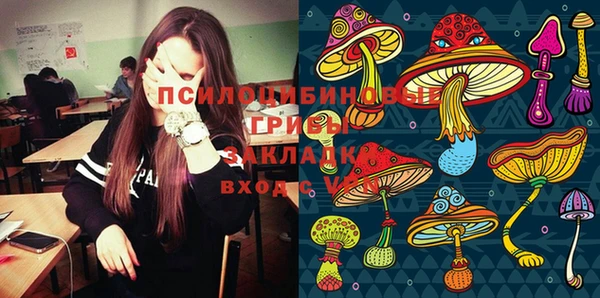 PSILOCYBIN Алексин