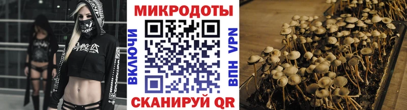 Галлюциногенные грибы прущие грибы  Ленинск 