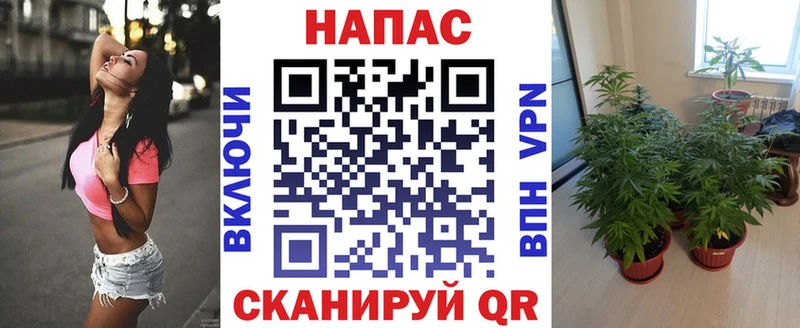 Каннабис ГИДРОПОН сайты даркнета наркотические препараты Ленинск что такое